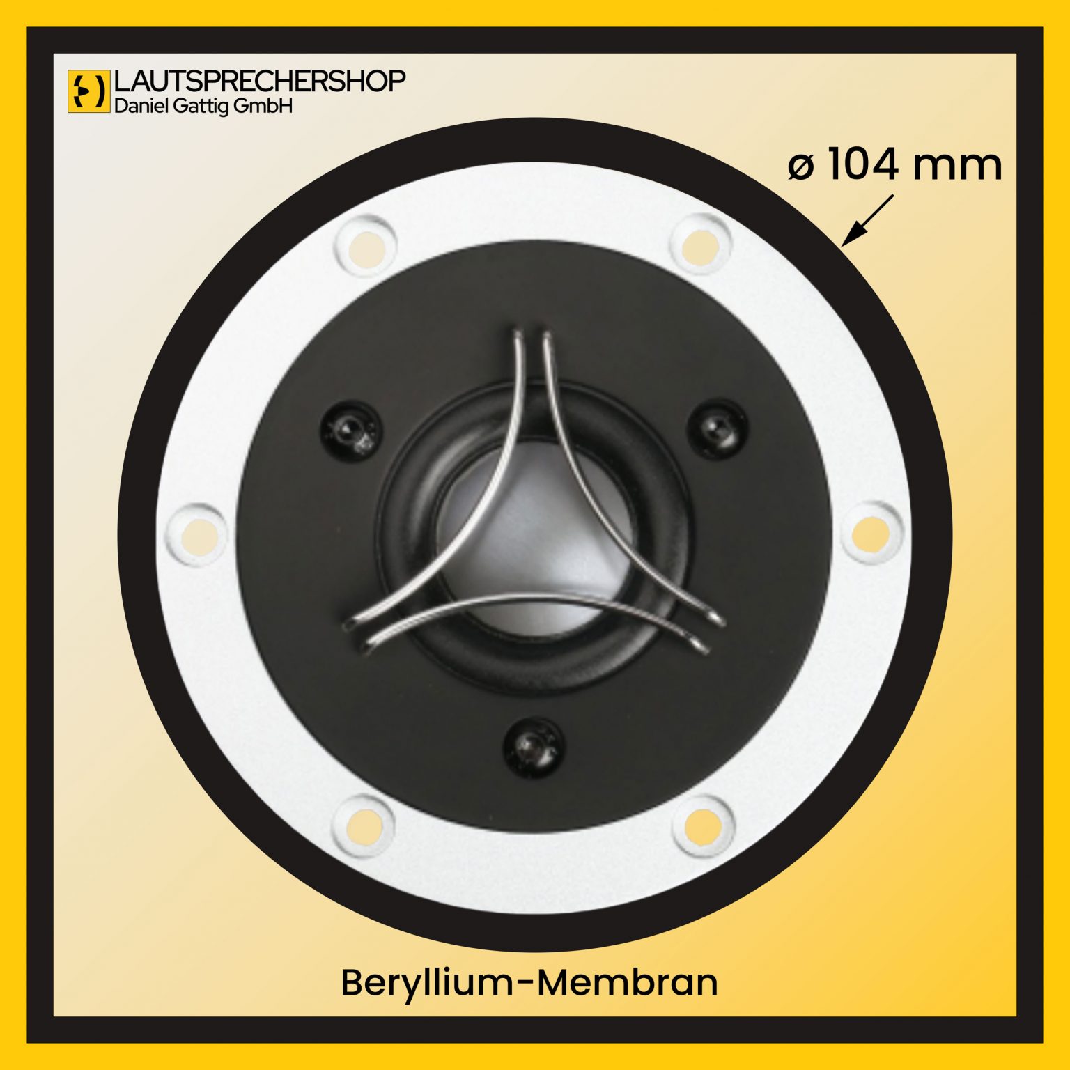 Chassis Beryllium-Membran Außendurchmesser d =104mm Bildformat 2500x2500 Pixel
