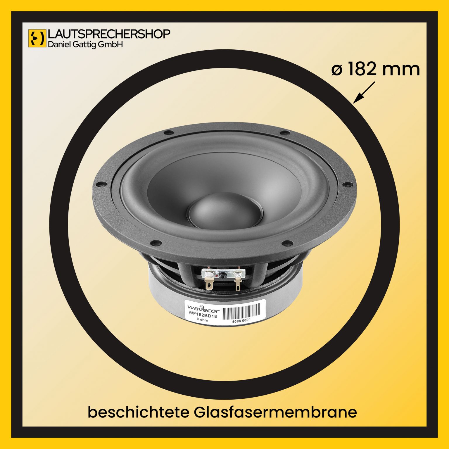 Chassis geschichtete Glasfasermembrane Außendurchmesser d =182mm Bildformat 2500x2500 Pixel
